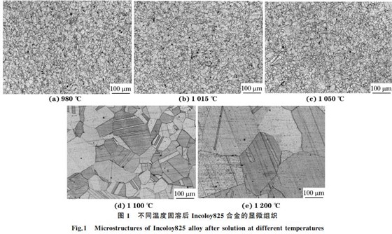 圖1 不同溫度固溶后Incoloy825合金的顯微組織 圖1 不同溫度固溶后Incoloy825合金的顯微組織