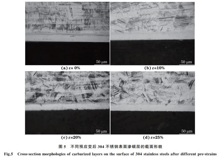 不同預應變后３０４不銹鋼表面滲碳層的截面形貌