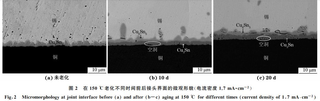 圖２ 在１５０ ℃老化不同時間前后接頭界面的微觀形貌(電流密度１．７mA??cm－２)