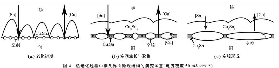 圖４ 熱老化過程中接頭界面微觀結構的演變示意(電流密度５０mA??cm－２)